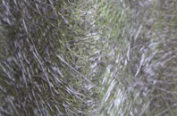 Addiewell fibreglass roof work